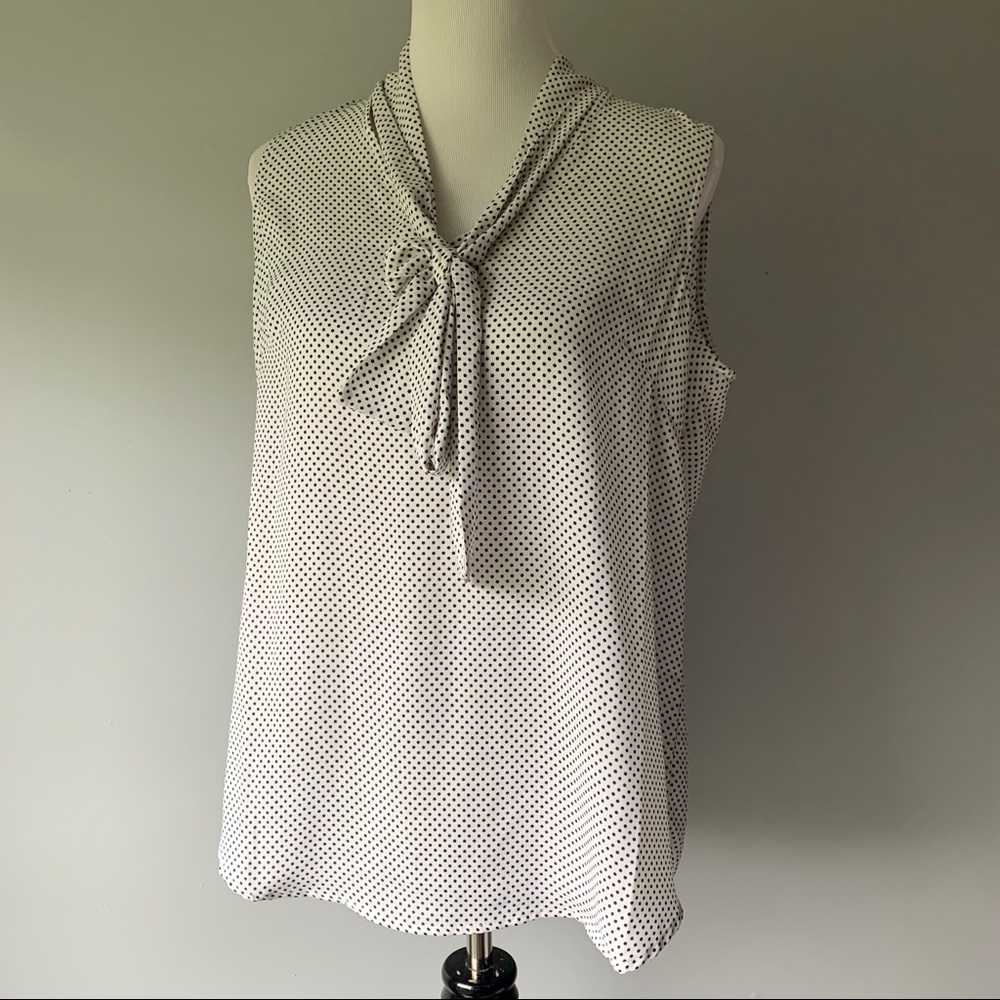 Adrianna Papell Polkadot Blouse